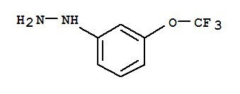 3-三氟甲氧基苯肼