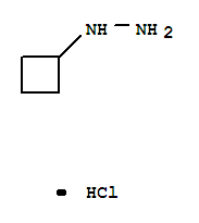 1-环丁基肼盐酸盐