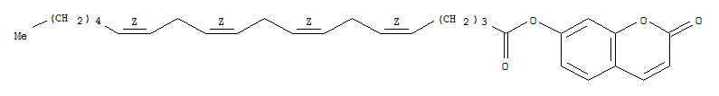 7-hydroxycoumarinyl Arachidonate