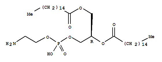 1,2-Dipalmitoyl-Sn-Glycero-3-Phosphoethanolamine