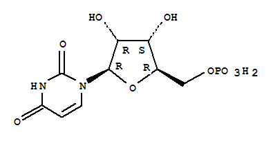 uridine 5'- monophosphate