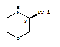 (S)-3-异丙基吗啉 77897-21-3