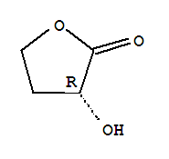 2(3H)-Furanone,dihydro-3-hydroxy-, (3R)-