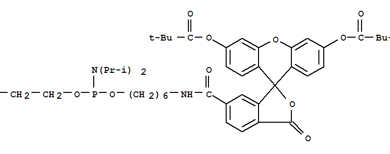 5-Fluorescein Phosphoramidite(6-FAM)