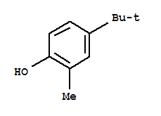 Phenol,4-(1,1-dimethylethyl)-2-methyl-