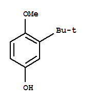2-叔丁基-4-羟基茴香醚 (2-BHA) 99% 100G