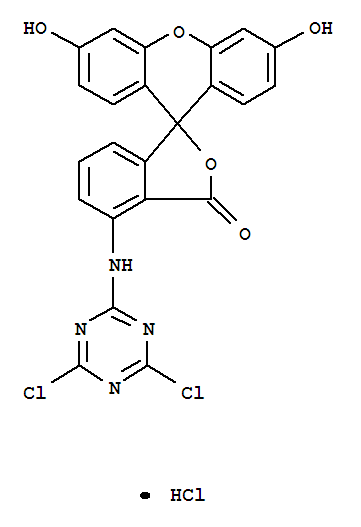 6-DTAF [6-(4,6-Dichlorotriazinyl)aminofluorescein]  