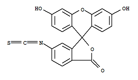 Fluorescein 6-Isothiocyanate