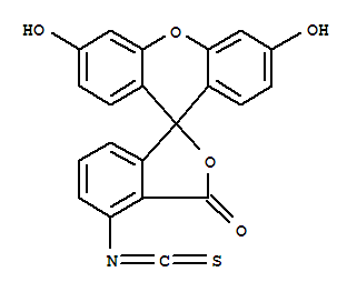 6-Fluorescein Isothiocyanate