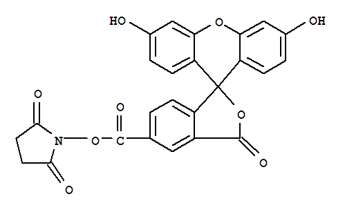 Spiro[isobenzofuran-1(3H),9'-[9H]xanthene]-5-carboxylicacid, 3',6'-dihydroxy-3-oxo-, 2,5-dioxo-1-pyrrolidinyl ester