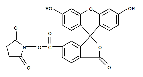Spiro[isobenzofuran-1(3H),9'-[9H]xanthene]-6-carboxylicacid, 3',6'-dihydroxy-3-oxo-, 2,5-dioxo-1-pyrrolidinyl ester