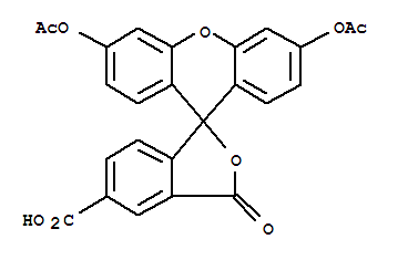5(6)-Carboxyfluorescein Diacetate