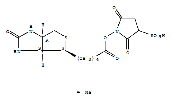 Biotin 3-sulfo-N-hydroxysuccinimide ester sodium s...