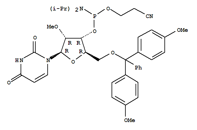 5'-O-(4,4-Dimethoxytrityl)-2'-O-methyluridine-3'-(2-cyanoethyl-N,N-diisopropyl)phosphoramidite  