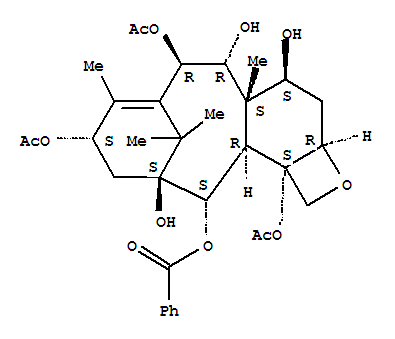 13-Acetyl-9-Dihydrobaccatin III