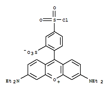 Xanthylium,9-[4-(chlorosulfonyl)-2-sulfophenyl]-3,6-bis(diethylamino)-, inner salt