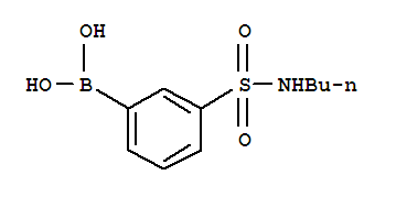 N-Butyl 3-Boronobenzenesulfonamide