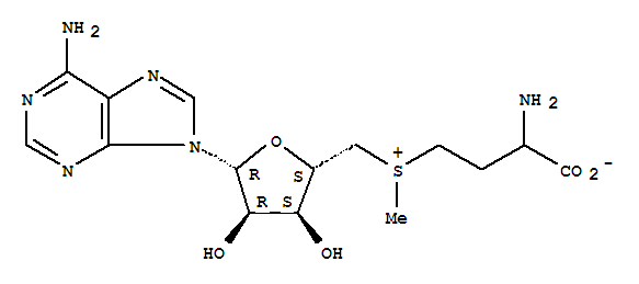 Adenosine,5'-[(3-amino-3-carboxypropyl)methylsulfonio]-5'-deoxy-, inner salt (9CI)