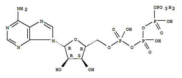 Adenosine5'-(pentahydrogen tetraphosphate)