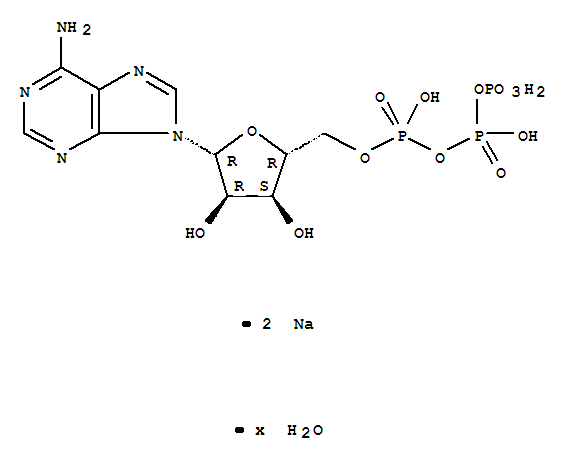 Adenosine 5'-triphosphate disodium salt hydrate, ATP-2Na