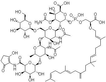 Bambermycin