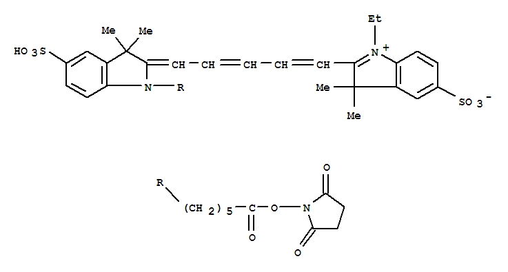 Cy5-succinimidyl ester