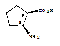 cis-2-Amino-1-Cyclopentane Carboxylic Acid