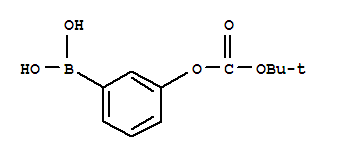 3-叔丁氧基羧基苯基硼酸