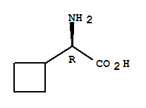 Cyclobutaneacetic acid,a-amino-, (R)- (9CI)