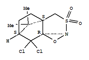 (+)-(8,8-Dichlorocamphorylsulfonyl)oxaziridine