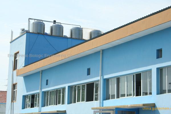 HUBEI HENO BIOLOGICAL ENGINEERING CO., LTD.