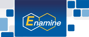 ENAMINE LTD.