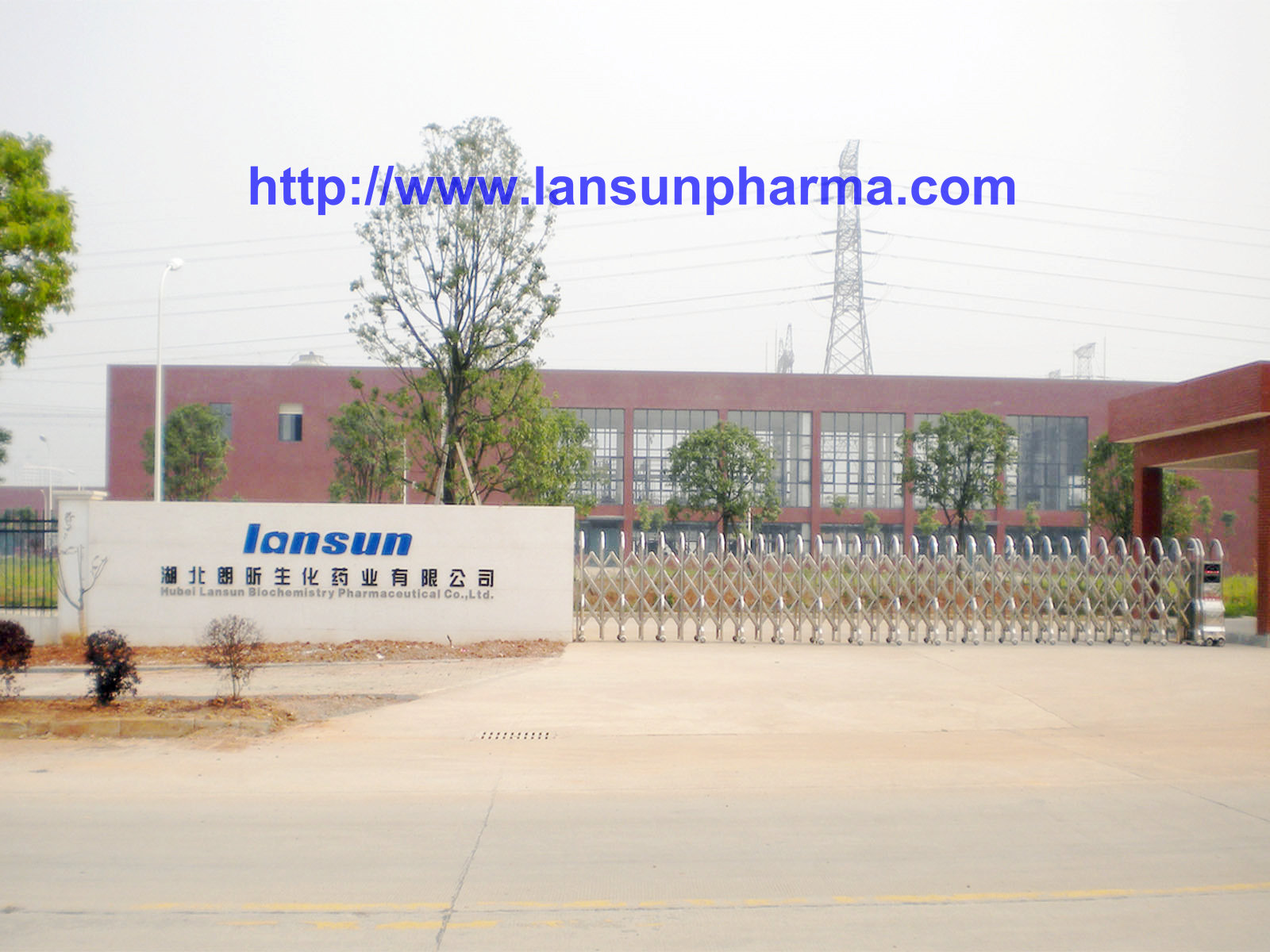 Hubei Lansun Biochemistry Pharmaceutical Co., Ltd.