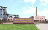 Hangzhou Wanghai Import and Export Limited Co.