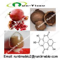 Pomegranate Powder Extract-Ellagic Acid 40% HPLC
