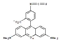 Xanthylium, 9-(2-carboxy-4-isothiocyanatophenyl)-3,6-bis(dimethylamino)-, inner salt