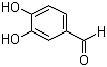 3,4-Dihydroxybenzaldehyde / Cas No. : 139-85-5