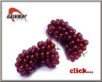 herbal Grape Skin Extract-Polyphenols