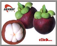 Anti-cancer herbal Mangosteen extract