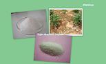 Super Absorbent Polymer/SAP Specilized in Agriculture