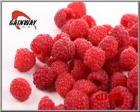 high quality but low price herbal Raspberry extract