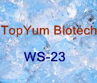 Menthol cooling agent WS23