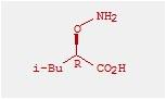 (R)-2-Aminooxy-4-methylvaleric acid; 2-(R)-Aminooxyisocapronic acid