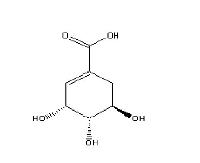 shikimic acid138-59-0