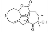 Oxymatrine 16837-52-8