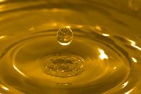 Used Cooking Oil / Waste Vegetable Oil