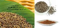Cassia Seed Extract / Emodin
