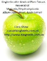 Kingherbs offer China Apple Root Skin Extract