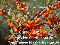 Supply China Seabuckthorn Seed Oil