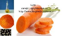 China Carrot Seed Oil with good quality